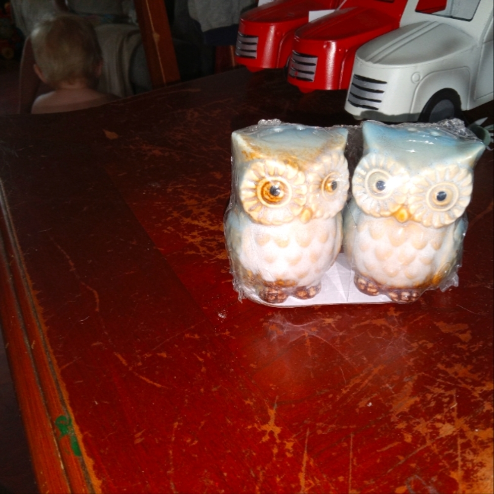Owl salt and pepper shakers